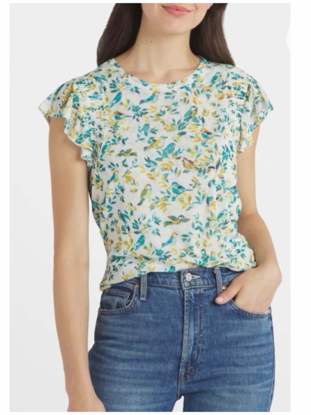 Stitch Fix Daniel Rainn Olivia Floral Bird Print Flutter Sleeve Mesh Top